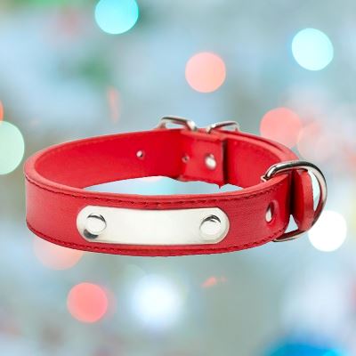 Collier pour Chien - LeatherDogCollar™ - Rouge