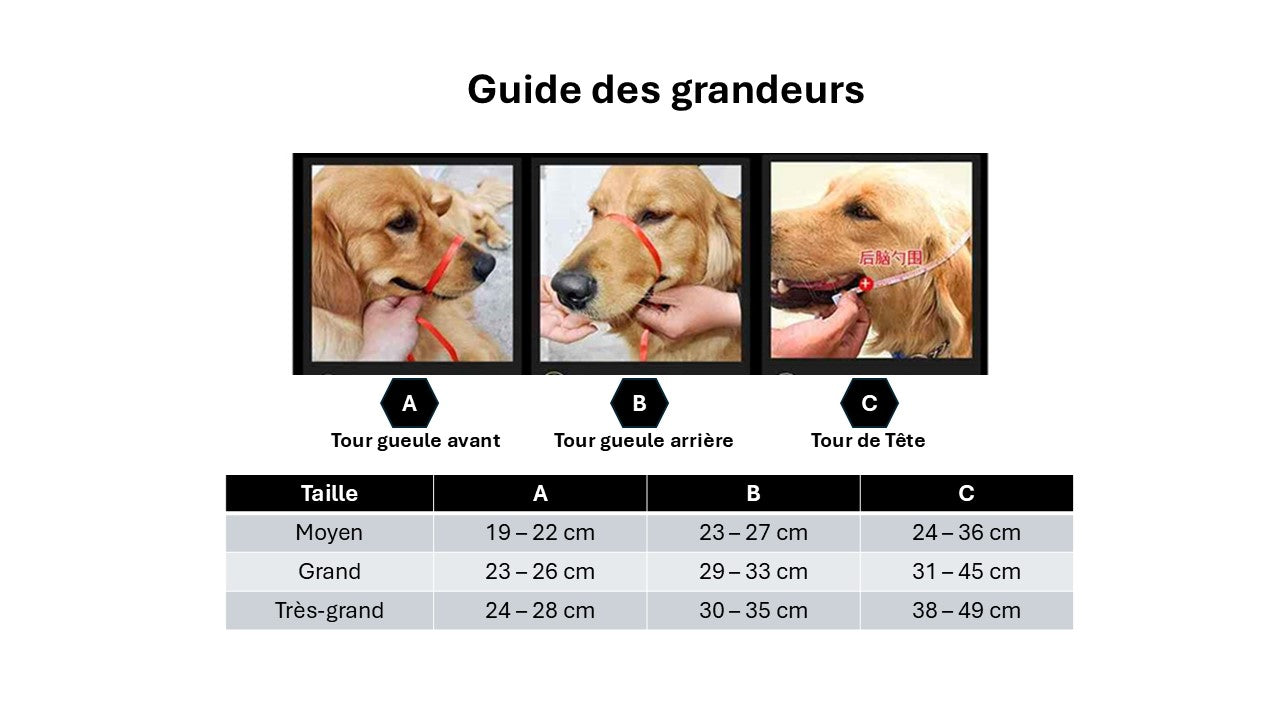 Guide grandeurs muselière cuire