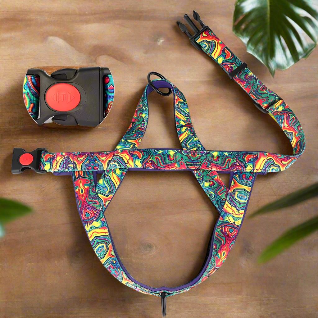 Harnais pour chien violet fermeture sécuritaire