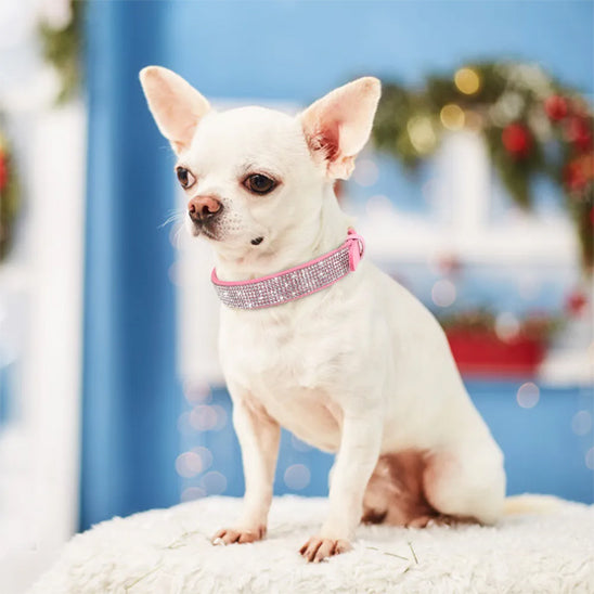 collier chien suede rose cristaux diamant promenade elegante petit chien