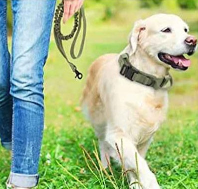 Collier chien | Tactique militaire, Kaki