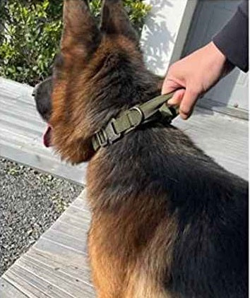 Collier chien | Tactique militaire, Kaki