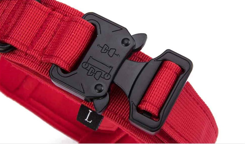 Collier chien | Tactique militaire, Rouge