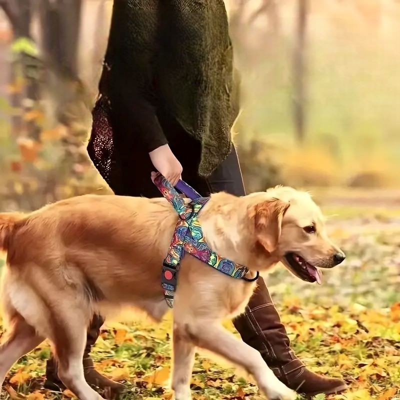 Harnais pour chien moyen grand violet sécuritaire