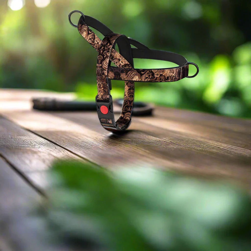 Harmais pour chien noir doré confortable