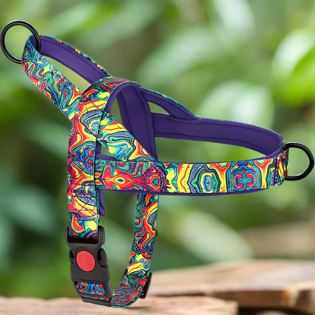Harnais pour chien violet sécuritaire confortable