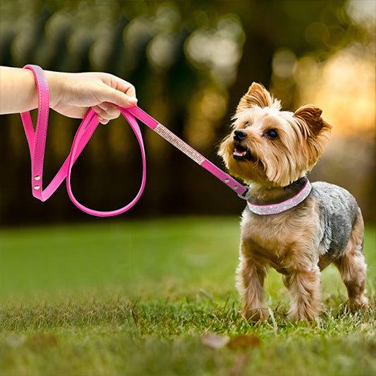 collier chien avec laisse assortie-avec cristaux diamant-promenade elegante
