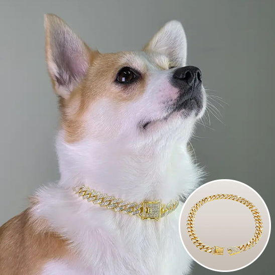 collier chien cubain bijoux diamant or