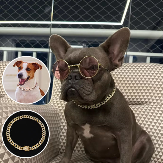 collier chien cubain bijoux style diamant argent