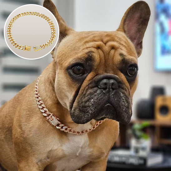 collier chien cubain elegant diamant or rose