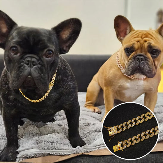 collier chien cubain robusque diamant or