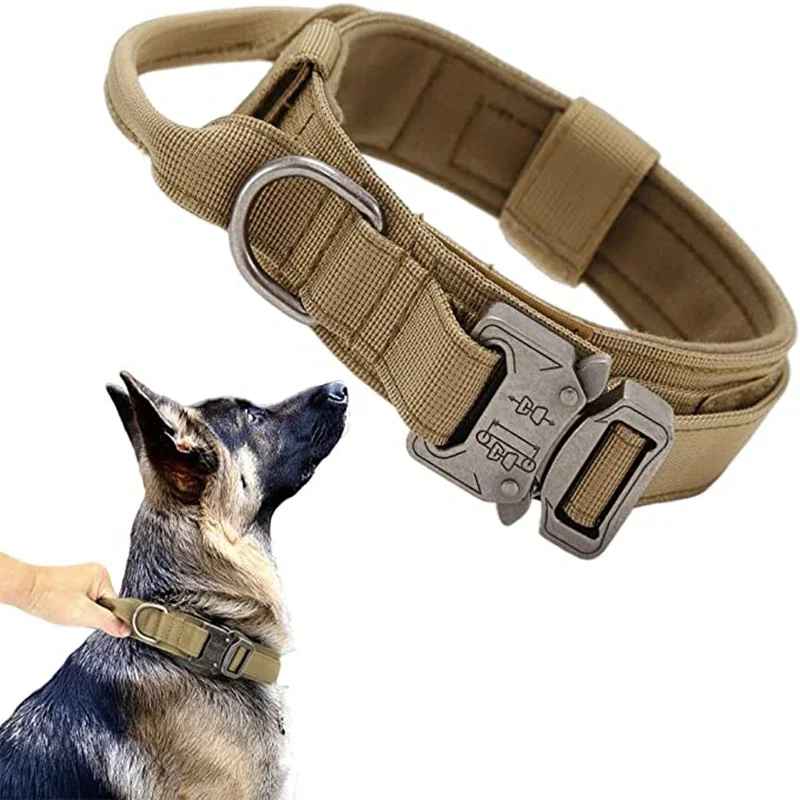 Collier chien | Tactique militaire, Beige