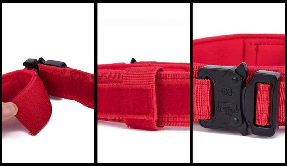 Collier chien | Tactique militaire, Rouge