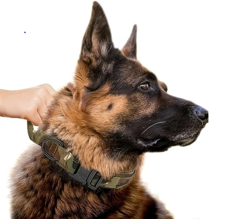 Collier chien | Tactique militaire, Relish
