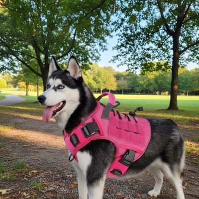 Harnais chien rose noir ajuste confort able sécuritaire