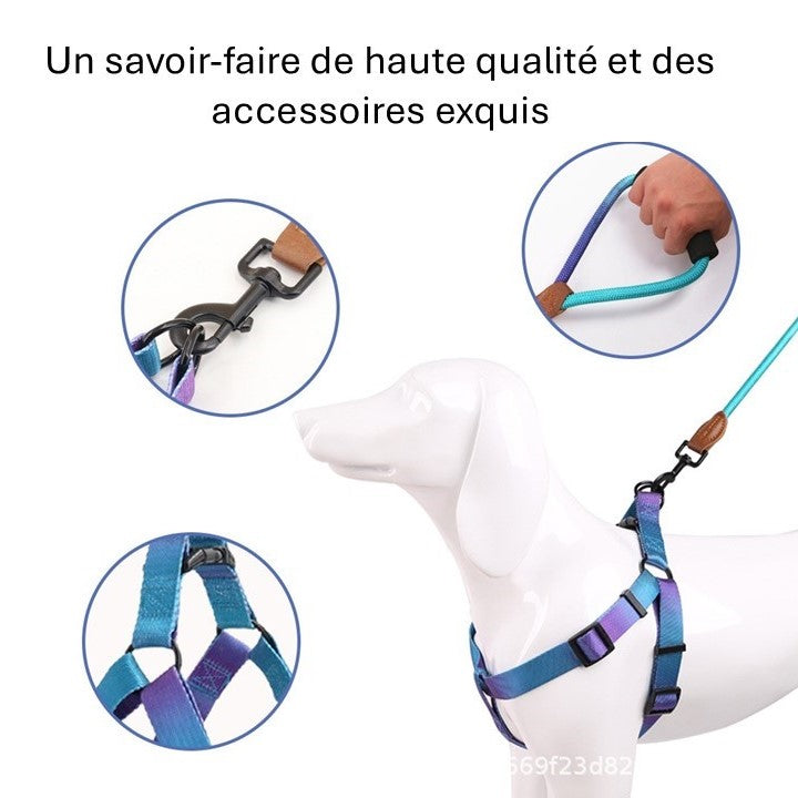 harnais pour chien accessoire qualite violet
