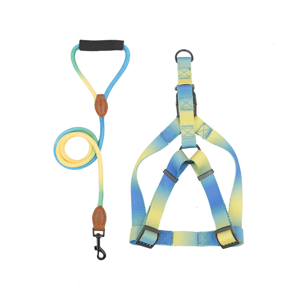 harnais pour chien laisse assortie petit grand bleu jaune