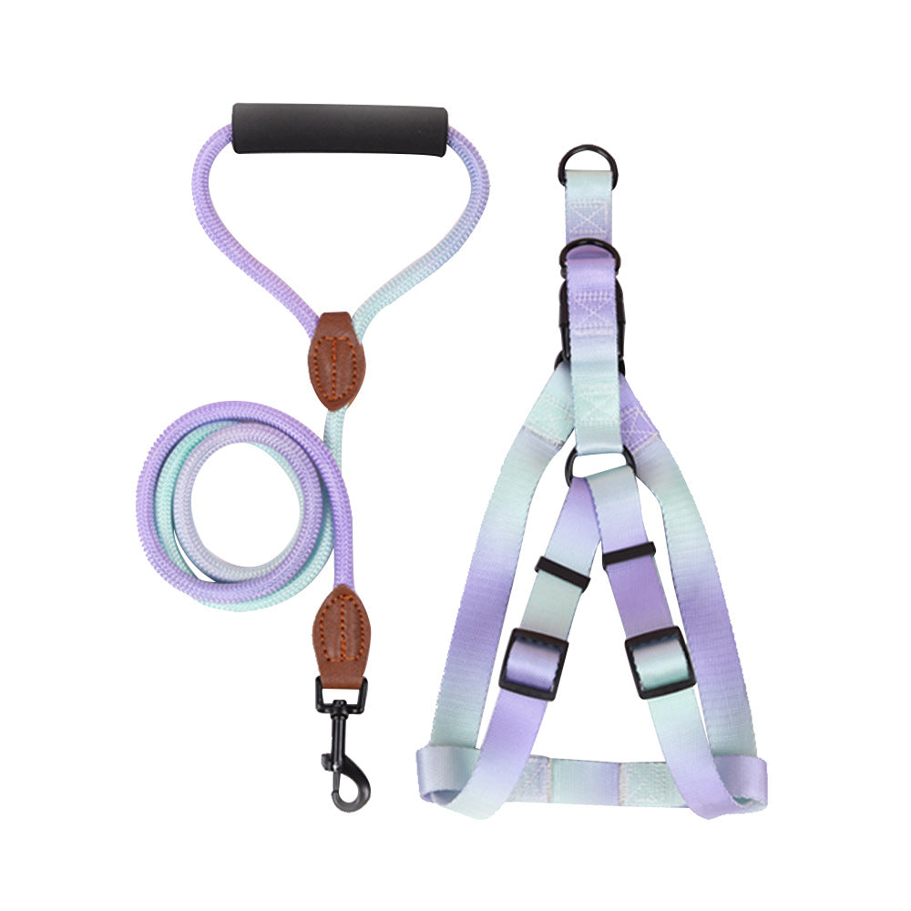 harnais pour chien laisse assortie petit grand vert violet
