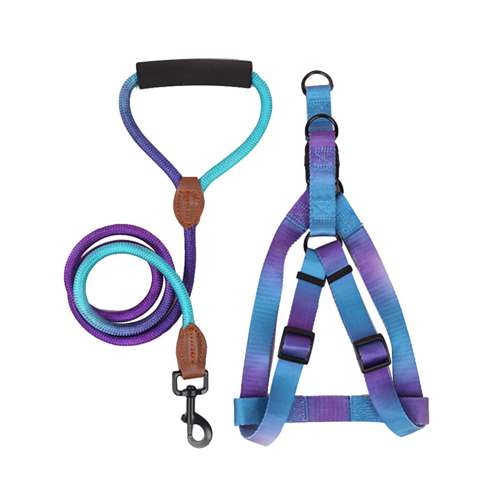 harnais pour chien laisse assortie petit grand violet