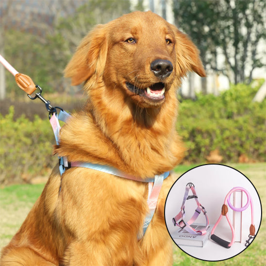 harnais pour chien petit grand securitaire ajustablerose bleu