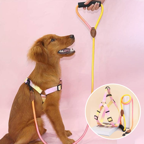 harnais pour chien petit grand securitaire ajustable rose 
jaune