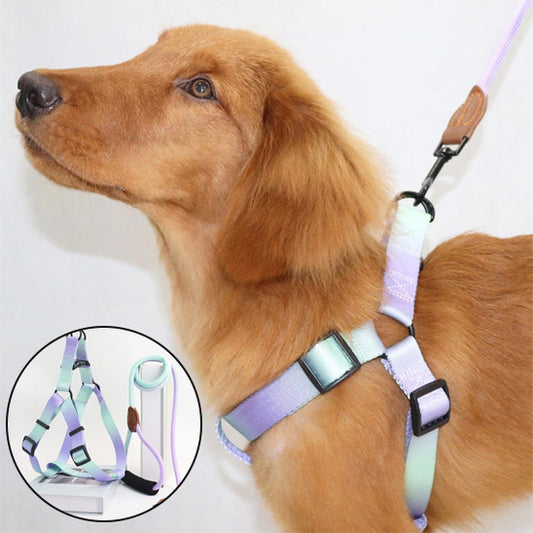 harnais pour chien petit grand securitaire ajustable vert violet