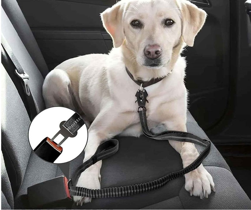 laisse anti traction attache securitaire voiture noir