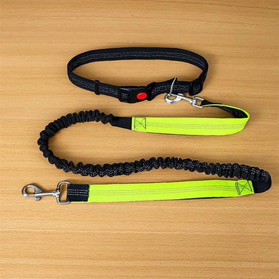 laisse chien main libre anti traction jaune