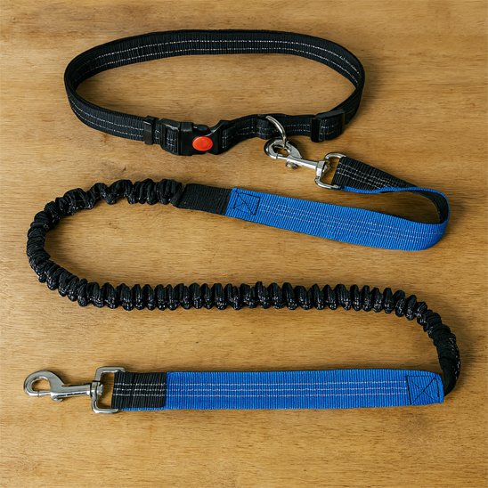laisse chien main libre anti traction taille securite bleu