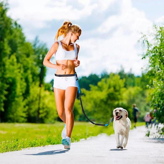 laisse chien main libre course pied anti choc bleu