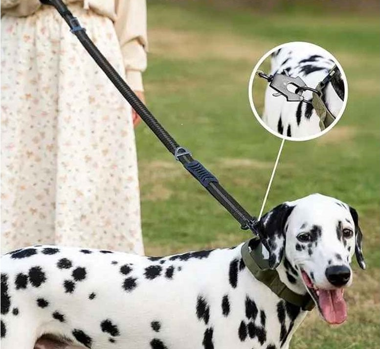 laisse pour chien anti traction attache   facile noir